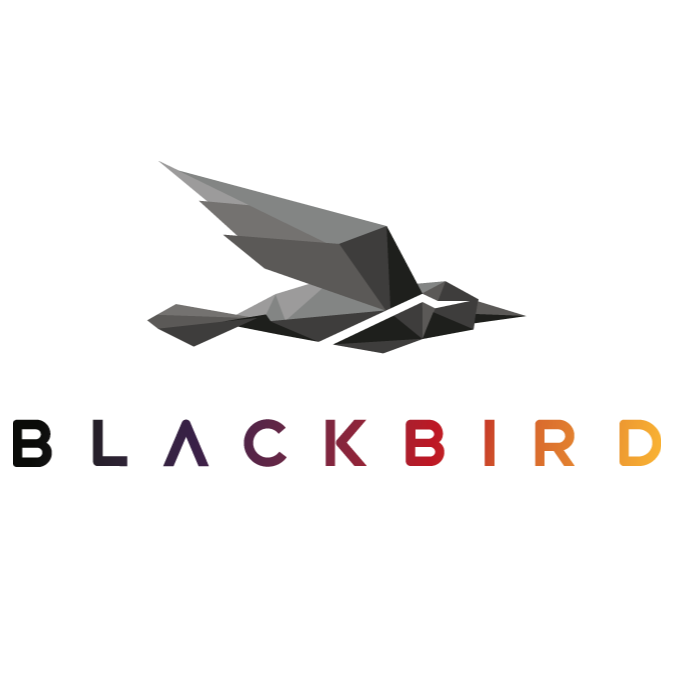 Blackbird Profile Picture